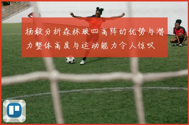 杨毅分析森林狼四高阵的优势与潜力整体高度与运动能力令人惊叹